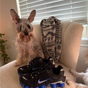 Black and Royal Blue Nike Shox Sneakers